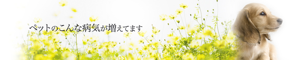 ペットのこんな病気が増えてます