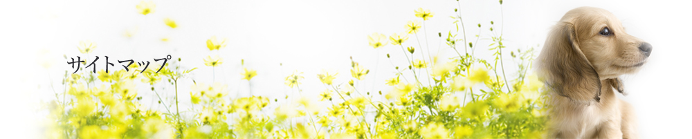 サイトマップ