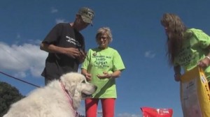 5617281422166437815_11n